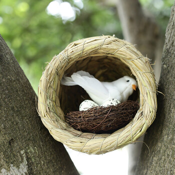 角幼儿园森系植物角户外装饰微景观别墅庭院花园布置 鸽子窝【图片