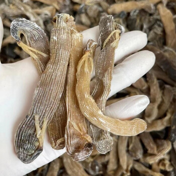 沙虫干原色黑沙虫天然沙虫干海肠子海蚕北海沙虫海鲜粥海味粥50克