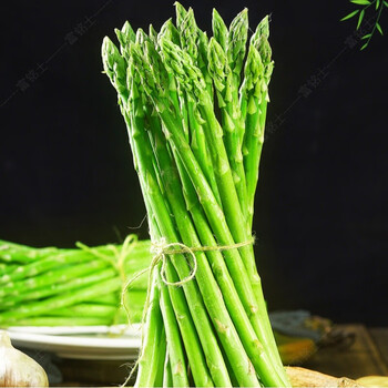 柘城助农馆山东曹县鲜嫩芦笋青笋新鲜蔬菜现摘现发顺丰细笋3斤