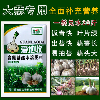 大蒜三遍药专用套餐抗病增产叶面肥蒜苔膨大素返青抽苔剂 5包