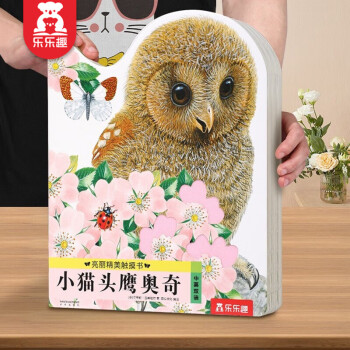 乐乐趣品牌:引领启蒙教育潮流的选择