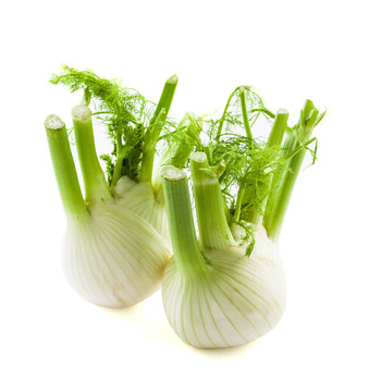 新鲜茴香头 500g 茴香根 球茎茴香西餐特色蔬菜香料 2500g