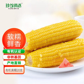 珍谷诱惑 23年新玉米 糯玉米200g/根 甜糯玉米棒 真空玉米 轻食苞米 黄糯20支箱装