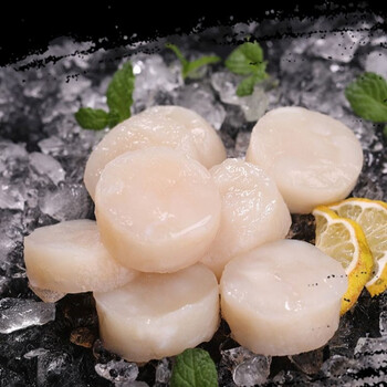 fgacct带子海鲜特大柱新鲜丁带子带子瑶柱500g 1斤装超大扇贝柱