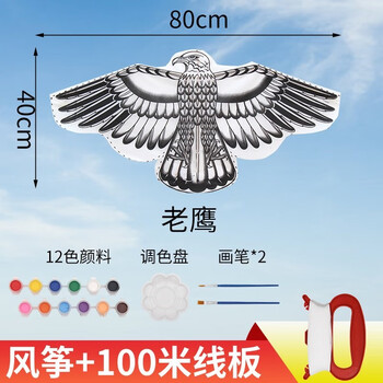 风筝半成品白色手绘彩绘幼儿园制作儿童涂鸦玩具纸鸢手工艺老鹰12色