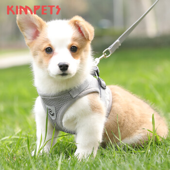 带狗出门必备:KimPets牵引绳胸背带套装