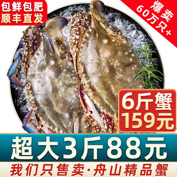 【销量60W+只】舟山超大梭子蟹鲜蟹活冻大螃蟹生鲜飞蟹大肉蟹 3斤5-8只【89】