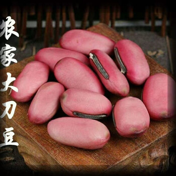 刀豆种子,老刀豆,刀把豆,刀豆根江西农家自种 250g,500g 500g