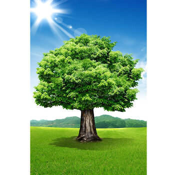 奈露 绿色大树风景画现代简约客厅装饰挂画卧室餐厅过道壁画树木森林