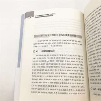 包容性创新系统的运行机理与价值评价——基于中国农村电商的实证研究