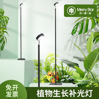 迈睿星 全光谱植物补光灯仿太阳室内专用养多肉上色家用落地绿植生长灯 20W【2.1m】全光谱6000k白光定时