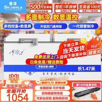雪花（SNOWFLK）（当天发货）冰柜商用家用大容量卧式冰柜冷柜冷藏冷冻转换柜 550双门单温带锁数显冷冻柜