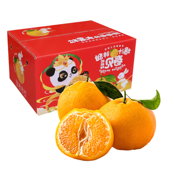 勇者无惧四川春见耙耙柑 新鲜应季爆浆耙耙柑丑柑纯甜整箱水果礼盒年货 9斤65-75mm品质装净重8.5-9斤