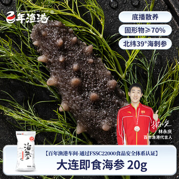 百年渔港 大连即食海参20g 固形物70%以上 单只 大连辽刺参