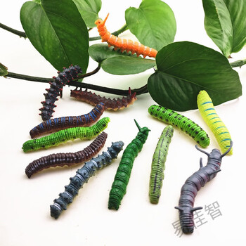 仓梵仿真毛毛虫愚人节整蛊恶搞吓人道具玩具昆虫微景观造景蚕青虫模型