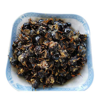 知了肉 丽水永康特色美食即食特产零食知了肉又名唐僧肉 农家自制