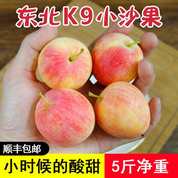 东北k9小沙果特产开久小苹果鸡心海棠果新鲜酸水果5斤10斤60mm以下