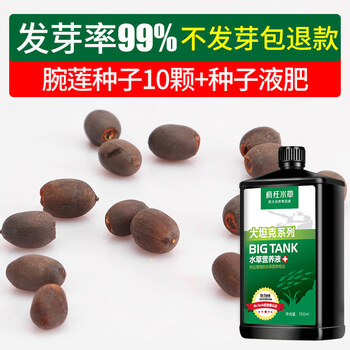 疯狂水草浮萍鱼缸水草植物籽水草种子种孑造景活装饰睡莲水下水生 不发芽包退款 碗莲种子10颗 种子液肥 图片价格品牌报价 京东