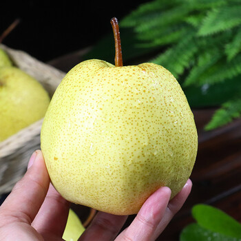 酥梨新鲜水果香梨整箱当季山西特产10斤红香酥青雪梨脆甜大梨子10斤