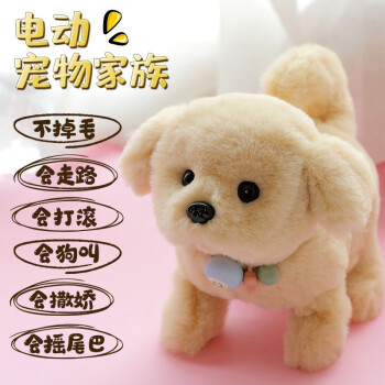 快乐音符机器人,引领价格走势的明星产品
