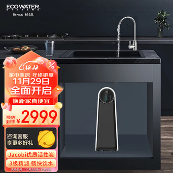 怡口净水（ECOWATER）净水器家用500G厨下直饮RO反渗透精滤KX优质压缩活性炭提升口感浅薄小巧节省空间1级水效ERO252-3