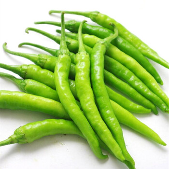 魃鲜京舰 杭椒 新鲜杭州正宗 不辣的小尖椒 油焖食用青辣椒 3斤