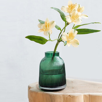 志图北欧透明玻璃花瓶绿色竖条纹客厅水培花器装饰摆件小款 图片价格品牌报价 京东