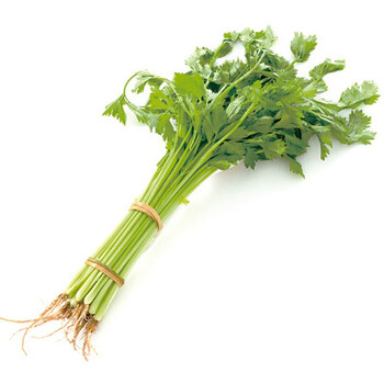 山东新鲜小香芹2/3/5斤装芹菜小香芹嫩空芯农家青菜马家沟当季蔬菜 2
