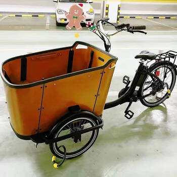 beate lesch电助力倒三轮自行车泽西岛带娃神车汉森cargo bike货运