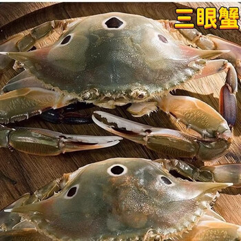 李享食丰三眼蟹三目蟹三点梭子蟹大螃蟹活冻海蟹三眼蟹活鲜冷冻 5斤装母蟹（2-3/只一斤）