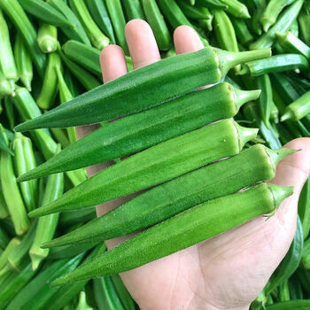 【京鲜达】秋葵新鲜蔬菜当季鲜嫩水果黄秋葵 2斤【图片 价格 品牌