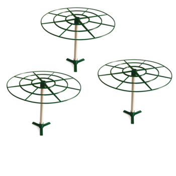 太阳花花架棒棒糖支架太阳花棒棒糖支架造型花架蟹爪兰花爬藤架固定