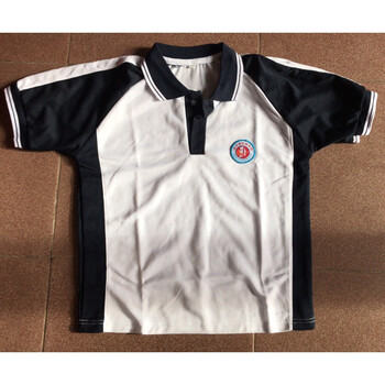 汕尾校服 海丰中学生新德成中学 男女休闲夏季短袖服饰 新红城中学