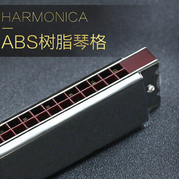 德国进口音簧28孔复音重音口琴abcdfg调演奏级演奏级复音银色c调送11