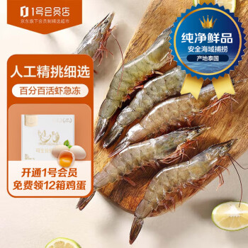 新鲜冻虾价格走势分析,极具性价比的虾类产品推荐