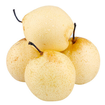 河北鸭梨水晶梨产地直发脆甜多汁新鲜水果梨水果 1斤(按5的倍数拍)