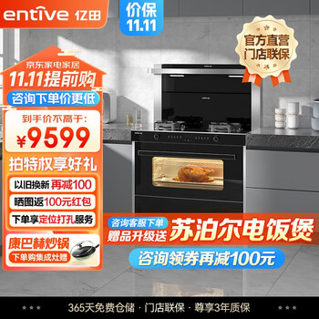 亿田（entive）D2ZK  集成灶蒸烤一体 家用蒸箱烤箱 集成一体灶 黑晶工艺台面 D2ZK（液化气）