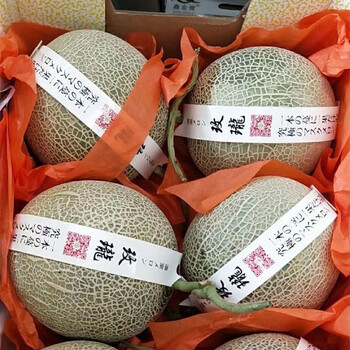 京格冰淇淋玫珑网纹蜜瓜甜瓜 包装随机发（拍2份合发一箱) 品选5 网纹瓜 4.5斤装净重4-4.25斤（2-3个装*