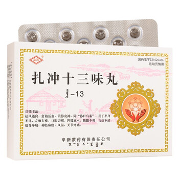 阜药扎冲十三味丸02g25粒1盒装
