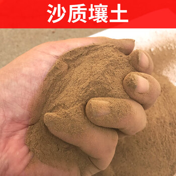 盛秉呈昌河沙沙质土沙壤土沙质壤土沙土松散不板结 沙土30斤鲁豫皖赣