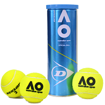 网球排名前十（网球排行榜前十名有哪些）