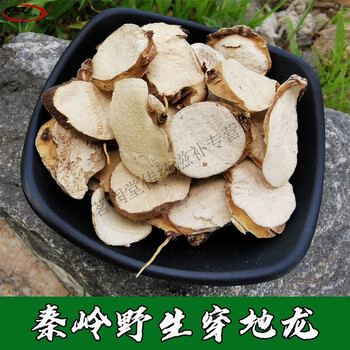 秦岭纯野生穿地龙 中药材穿地龙 穿山龙 地龙骨泡酒 串地龙500g