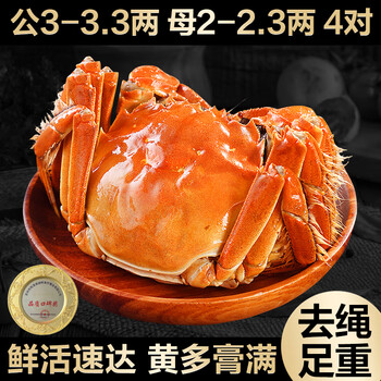 【活蟹】漁家师傅大闸蟹公3-3.3两母2-2.3两4对8只去绳足重鲜活螃蟹现货生鲜水产礼盒