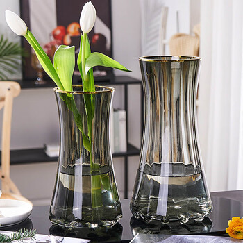 拜杰花瓶 拜杰玻璃花瓶创意透明ins风家居摆件向日葵花百合富贵竹水培植物容器家居客厅花底装饰插花器 行情报价价格评测 京东