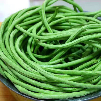 农家自采 现货 豇豆 新鲜豇豆 四季长豆角蔬菜 营养丰富 3斤