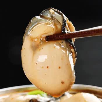 新起生蚝罐头即食新鲜现剥生蚝肉罐装麻辣小海鲜海鲜熟食蒜蓉生蚝 麻辣生蚝100g*6罐