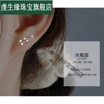 十二星座耳钉女简约气质个性天秤白羊双子狮子巨蟹魔蝎水瓶水瓶座耳钉 图片价格品牌报价 京东