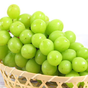 新品上市云南阳光玫瑰葡萄青提子葡萄精品串装无核无籽新鲜水果整串大