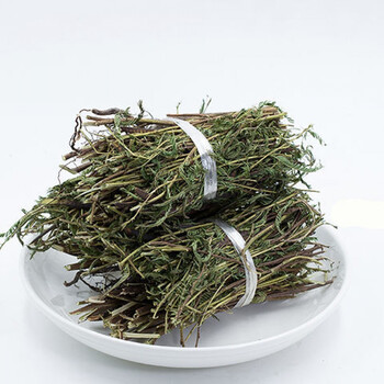 铁甲草软草客家煲汤料散装 铁甲草1000克