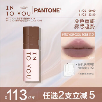 INTO YOU心慕与你冷感系列唇颊两用唇泥哑光口红七夕礼物CL04极低灰 2g